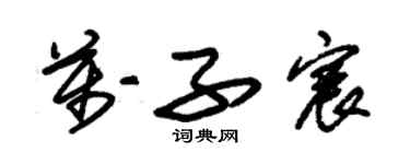 朱锡荣万子宸草书个性签名怎么写