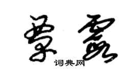 朱锡荣覃霞草书个性签名怎么写