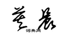 朱锡荣莫晨草书个性签名怎么写