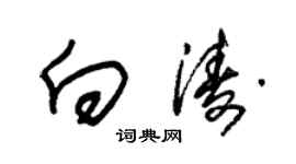 朱锡荣向涛草书个性签名怎么写