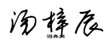 朱锡荣汤梓辰草书个性签名怎么写