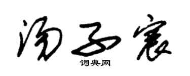 朱锡荣汤子宸草书个性签名怎么写