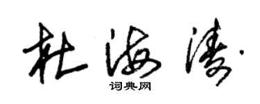 朱锡荣杜海涛草书个性签名怎么写
