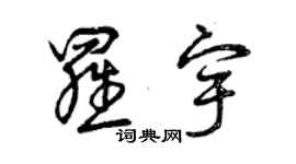 曾庆福罗宇草书个性签名怎么写