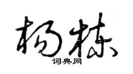 曾庆福杨栋草书个性签名怎么写