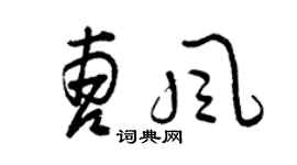 曾庆福曹风草书个性签名怎么写