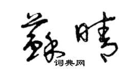 曾庆福苏晴草书个性签名怎么写