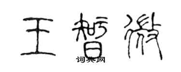 陈声远王智微篆书个性签名怎么写