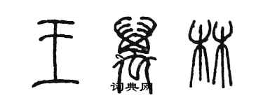 陈墨王万林篆书个性签名怎么写
