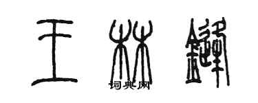 陈墨王林锋篆书个性签名怎么写