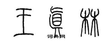 陈墨王真林篆书个性签名怎么写