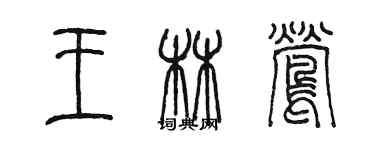 陈墨王林莺篆书个性签名怎么写