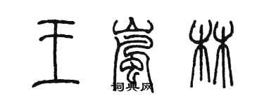 陈墨王岚林篆书个性签名怎么写