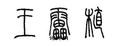 陈墨王雷植篆书个性签名怎么写