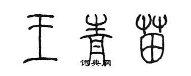 陈墨王青苗篆书个性签名怎么写