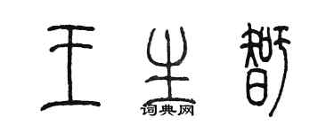陈墨王生智篆书个性签名怎么写