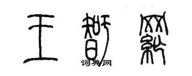 陈墨王智纲篆书个性签名怎么写