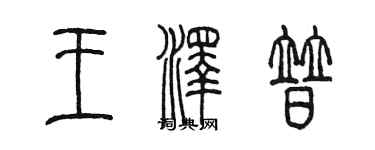 陈墨王泽普篆书个性签名怎么写