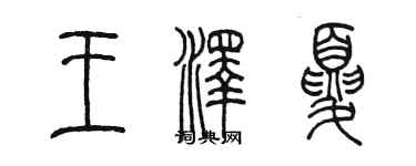 陈墨王泽夏篆书个性签名怎么写
