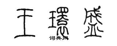 陈墨王环盛篆书个性签名怎么写