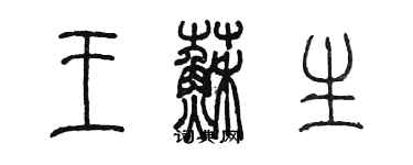 陈墨王苏生篆书个性签名怎么写