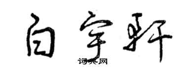 曾庆福白宇轩草书个性签名怎么写