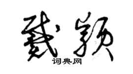 曾庆福戴颖草书个性签名怎么写