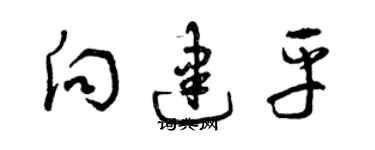 曾庆福向建平草书个性签名怎么写