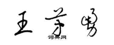 梁锦英王芳勇草书个性签名怎么写