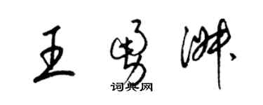 梁锦英王勇淑草书个性签名怎么写