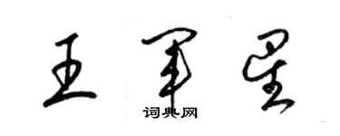 梁锦英王军星草书个性签名怎么写
