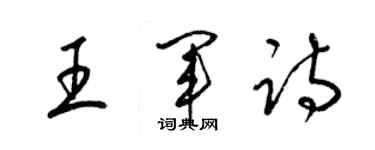梁锦英王军诗草书个性签名怎么写