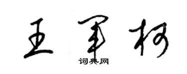 梁锦英王军柯草书个性签名怎么写