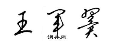 梁锦英王军翼草书个性签名怎么写