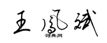 梁锦英王凤斌草书个性签名怎么写