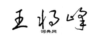 梁锦英王将峰草书个性签名怎么写