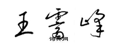 梁锦英王霁峰草书个性签名怎么写