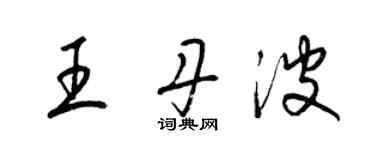 梁锦英王丹波草书个性签名怎么写