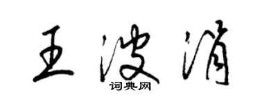 梁锦英王波涓草书个性签名怎么写