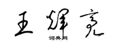 梁锦英王辉亮草书个性签名怎么写