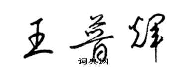 梁锦英王普辉草书个性签名怎么写