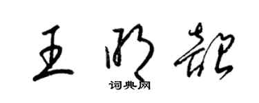梁锦英王明韶草书个性签名怎么写