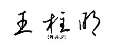 梁锦英王柱明草书个性签名怎么写