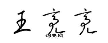 梁锦英王亮亮草书个性签名怎么写