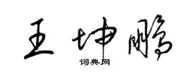 梁锦英王坤鹏草书个性签名怎么写