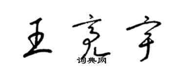 梁锦英王亮宇草书个性签名怎么写