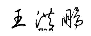 梁锦英王洪鹏草书个性签名怎么写