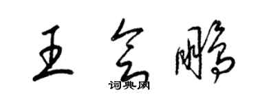 梁锦英王会鹏草书个性签名怎么写