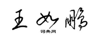 梁锦英王如鹏草书个性签名怎么写