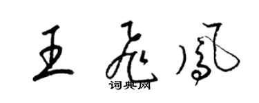 梁锦英王飞凤草书个性签名怎么写